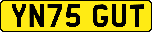 YN75GUT