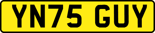 YN75GUY