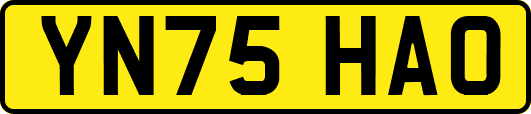 YN75HAO