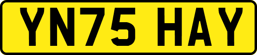 YN75HAY