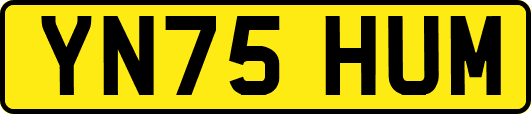 YN75HUM