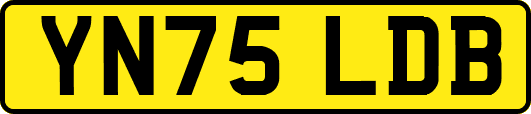 YN75LDB