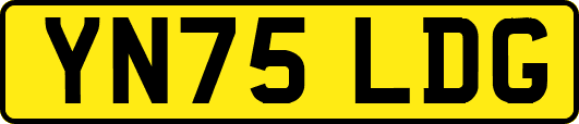 YN75LDG