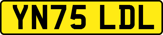 YN75LDL