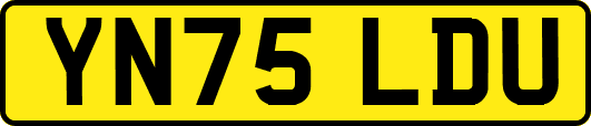 YN75LDU