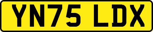 YN75LDX