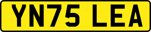 YN75LEA