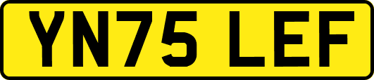 YN75LEF