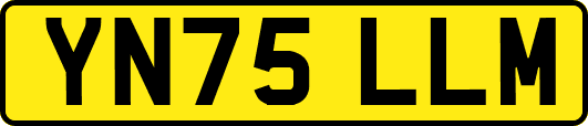 YN75LLM
