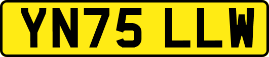 YN75LLW
