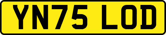 YN75LOD
