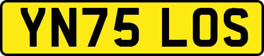 YN75LOS