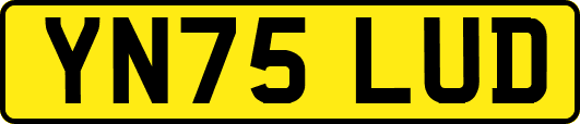 YN75LUD