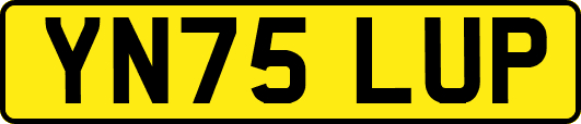 YN75LUP