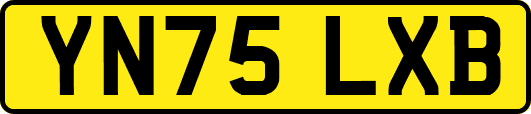 YN75LXB