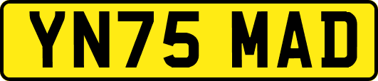 YN75MAD