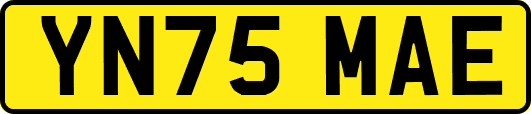 YN75MAE