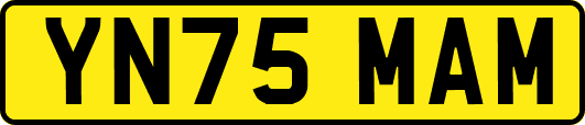 YN75MAM