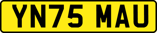 YN75MAU