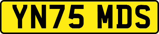 YN75MDS