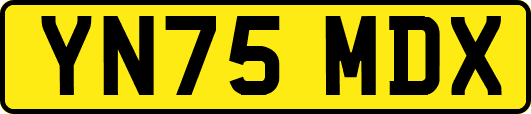 YN75MDX