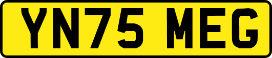YN75MEG
