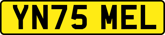 YN75MEL