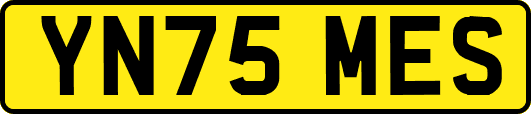 YN75MES