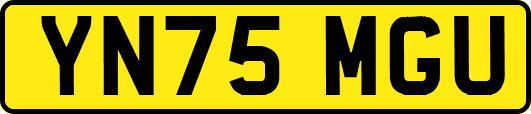 YN75MGU