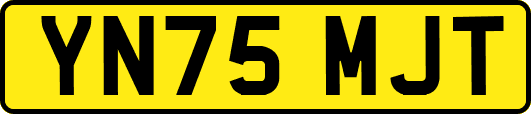 YN75MJT