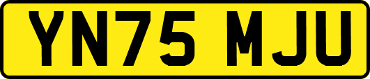 YN75MJU