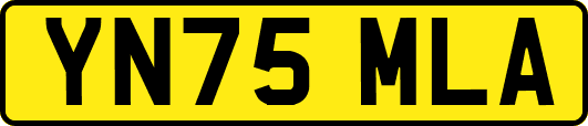 YN75MLA