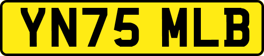YN75MLB