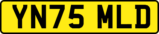 YN75MLD