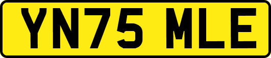 YN75MLE