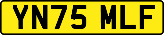YN75MLF