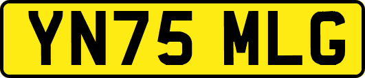 YN75MLG