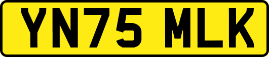 YN75MLK