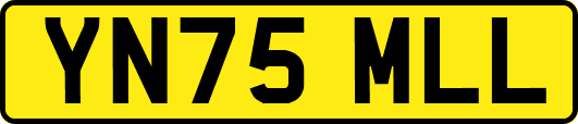 YN75MLL