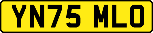 YN75MLO