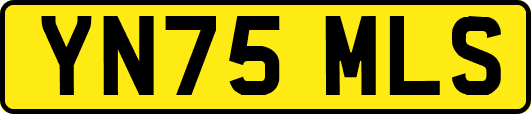 YN75MLS