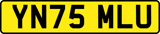 YN75MLU