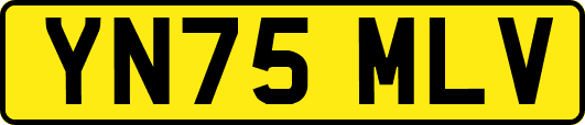 YN75MLV
