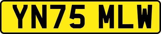 YN75MLW
