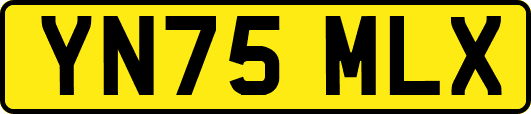 YN75MLX