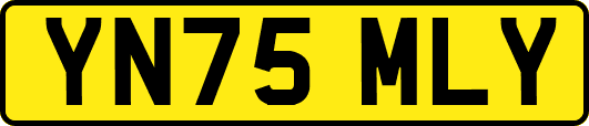 YN75MLY