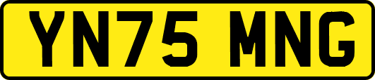 YN75MNG