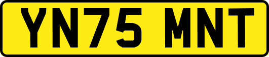 YN75MNT