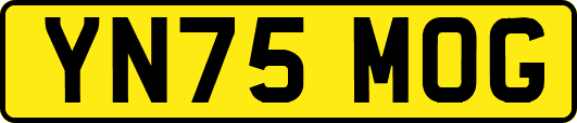 YN75MOG