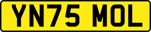 YN75MOL